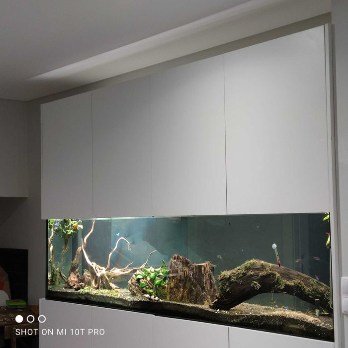 Rochas Dragon Stone e Xisto