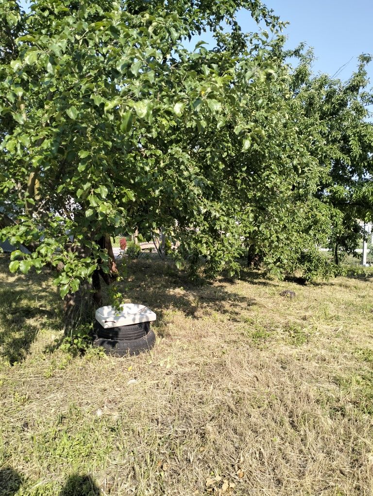 Продам дачу "Будівельник" Власівка