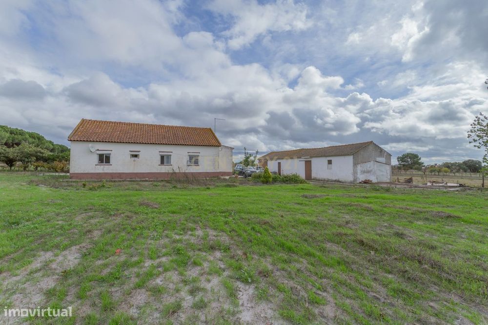 Casa com armazém e terreno de 2 ha