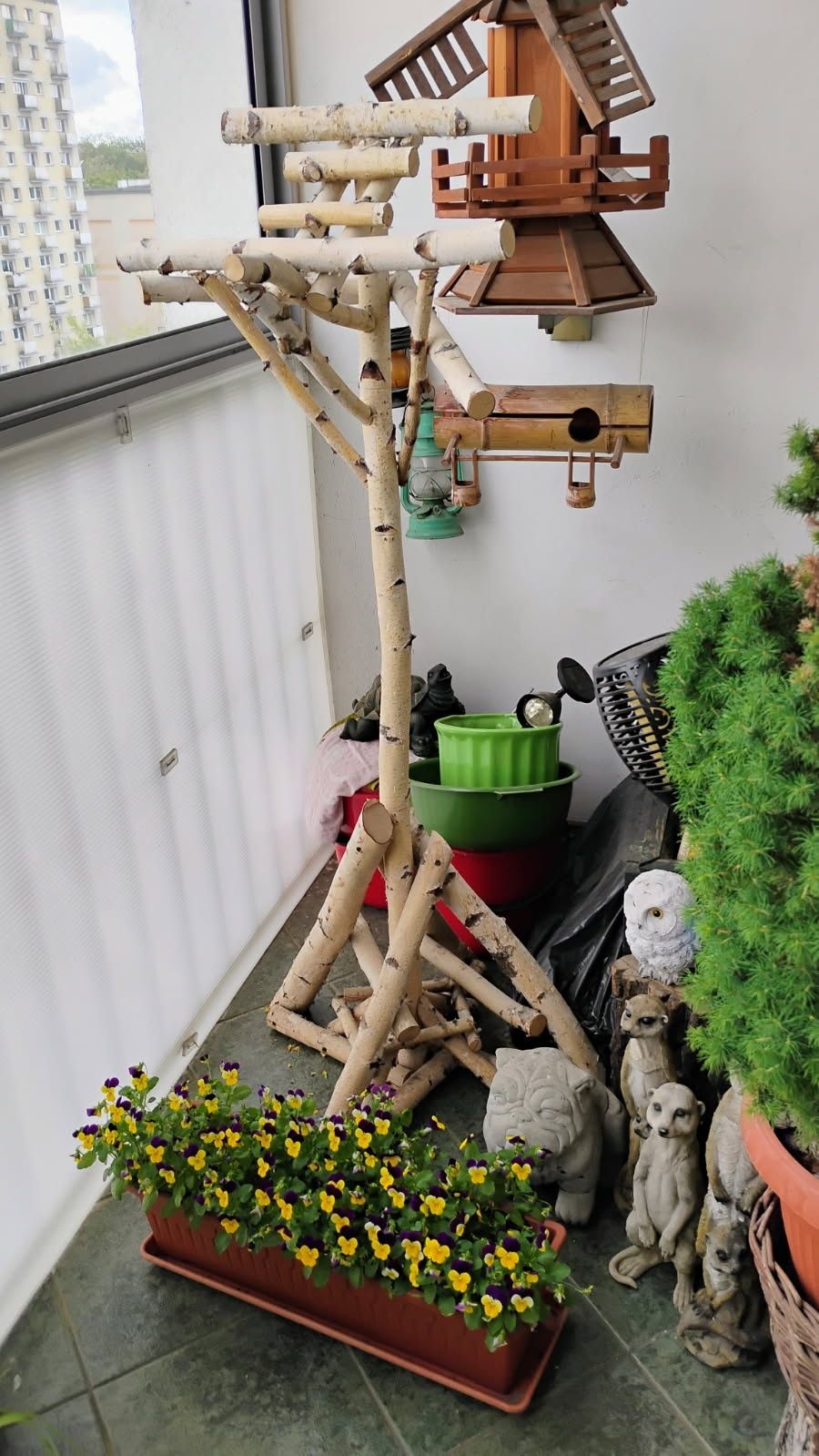 Stojak brzozowy dla dużych papug Żako Amazonka Ara