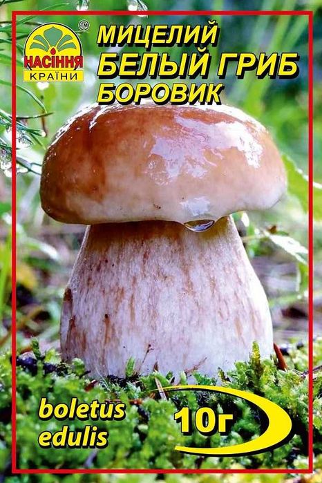 Мицелий грибов сухой
