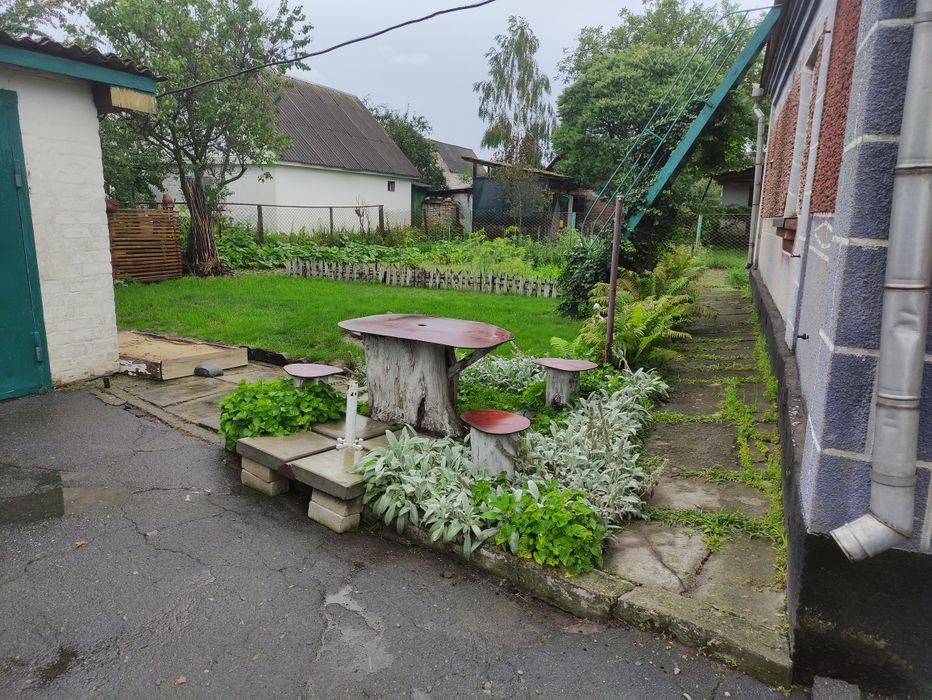 Будинок з присадибною ділянкою