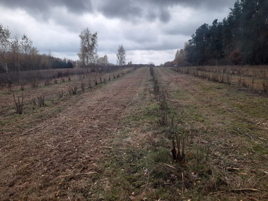 Działka rolna 2.49