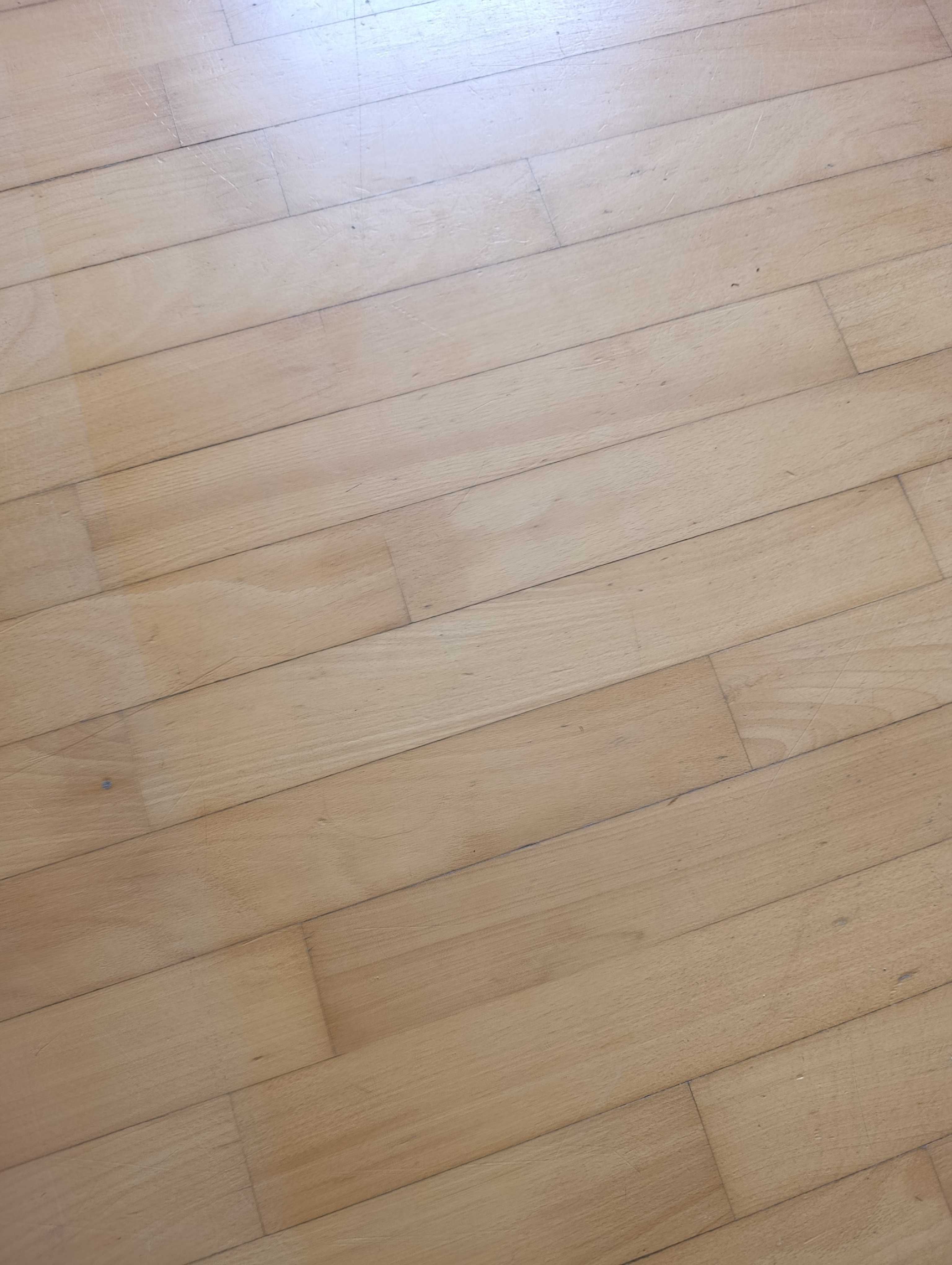 parkiet używany bardzo bardzo pilnie sprzedam