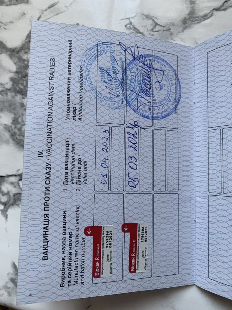 Тибецький мастиф в добрі руки