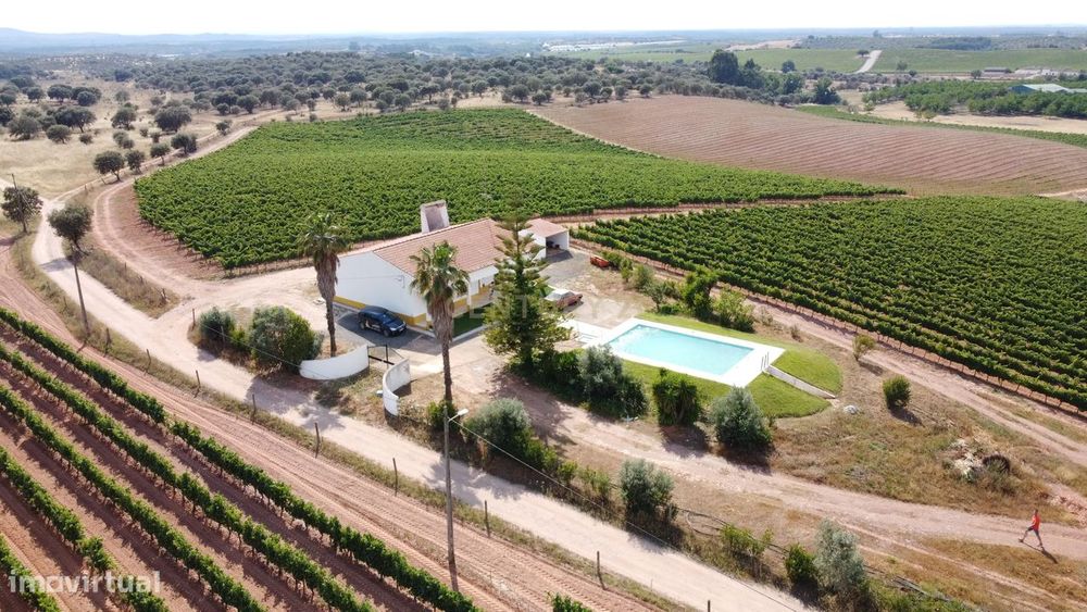 Vinha com 166 228m2, com benfeitoria (projeto) em Estremoz.