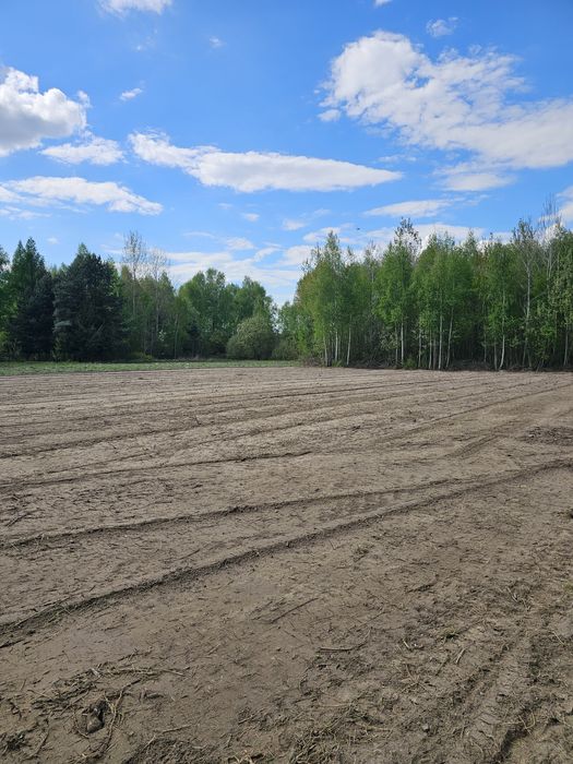 Mulczer leśny, mulczer wgłębny, karczowanie, oczyszczanie działek.