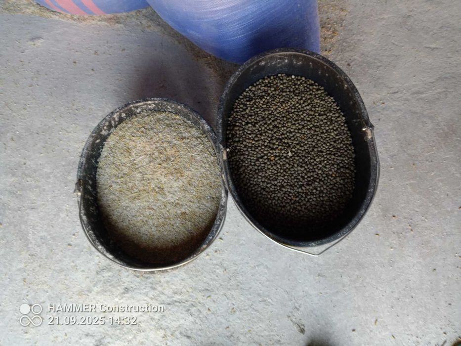 łubin słodki  paszowy śruta