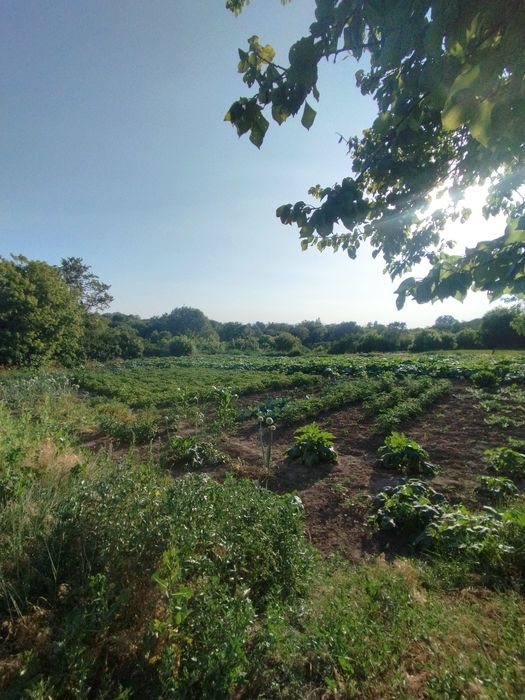 Будинок з умовами