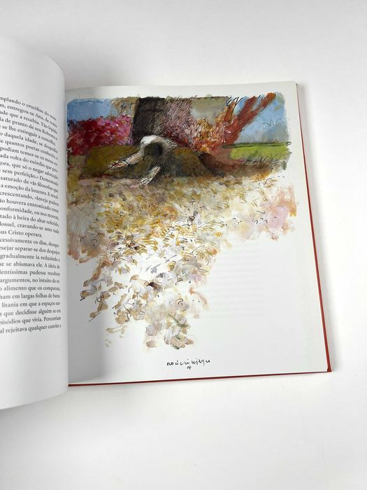 Triunfo do Amor Português Mário Cláudio Prémio Pessoa 2004