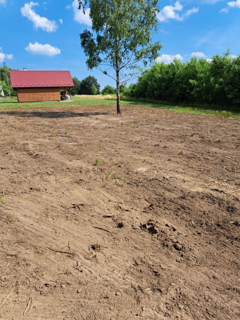 Prace porządkowe, wycinka drzew, przycinanie tui z wywozem odpadów