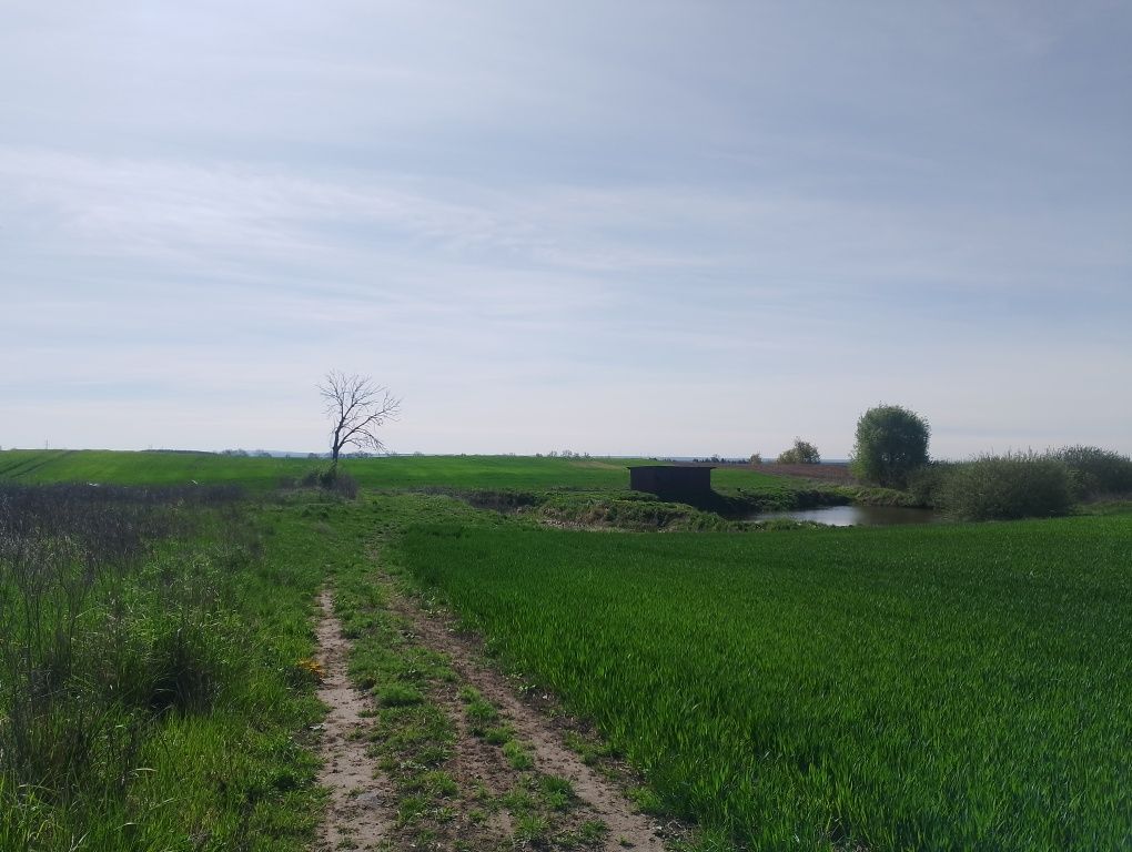 Sprzedam działkę budowlaną