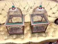 Par de gaiolas grandes tailandesas oriental