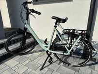 Gazella orange c7+