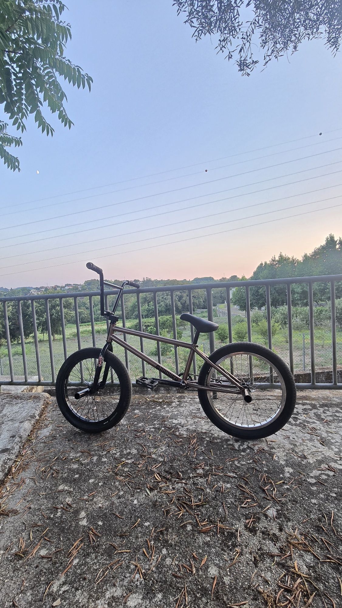 Bicicleta BMX ..