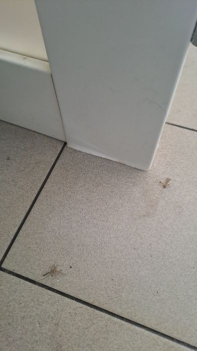 Drzwi wewnetrzne 90 lewe