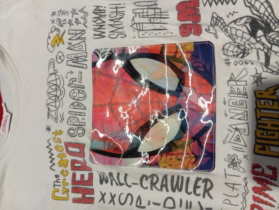 Bluza z długim rękawem Spiderman