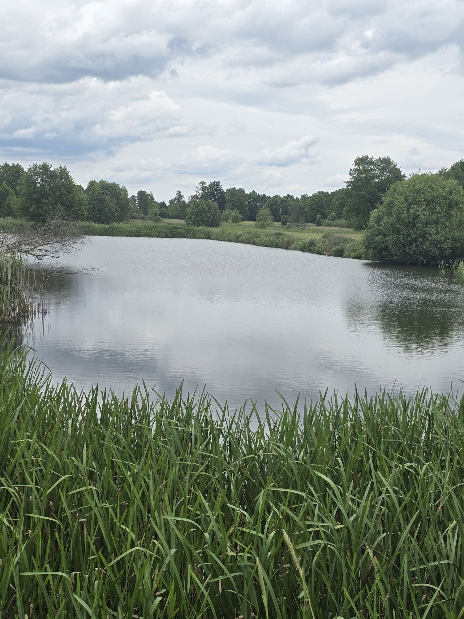 Działka z dużym stawem Kuźnica Zbąska