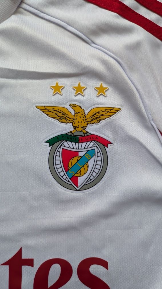 Camisola Benfica Alternativa Adidas