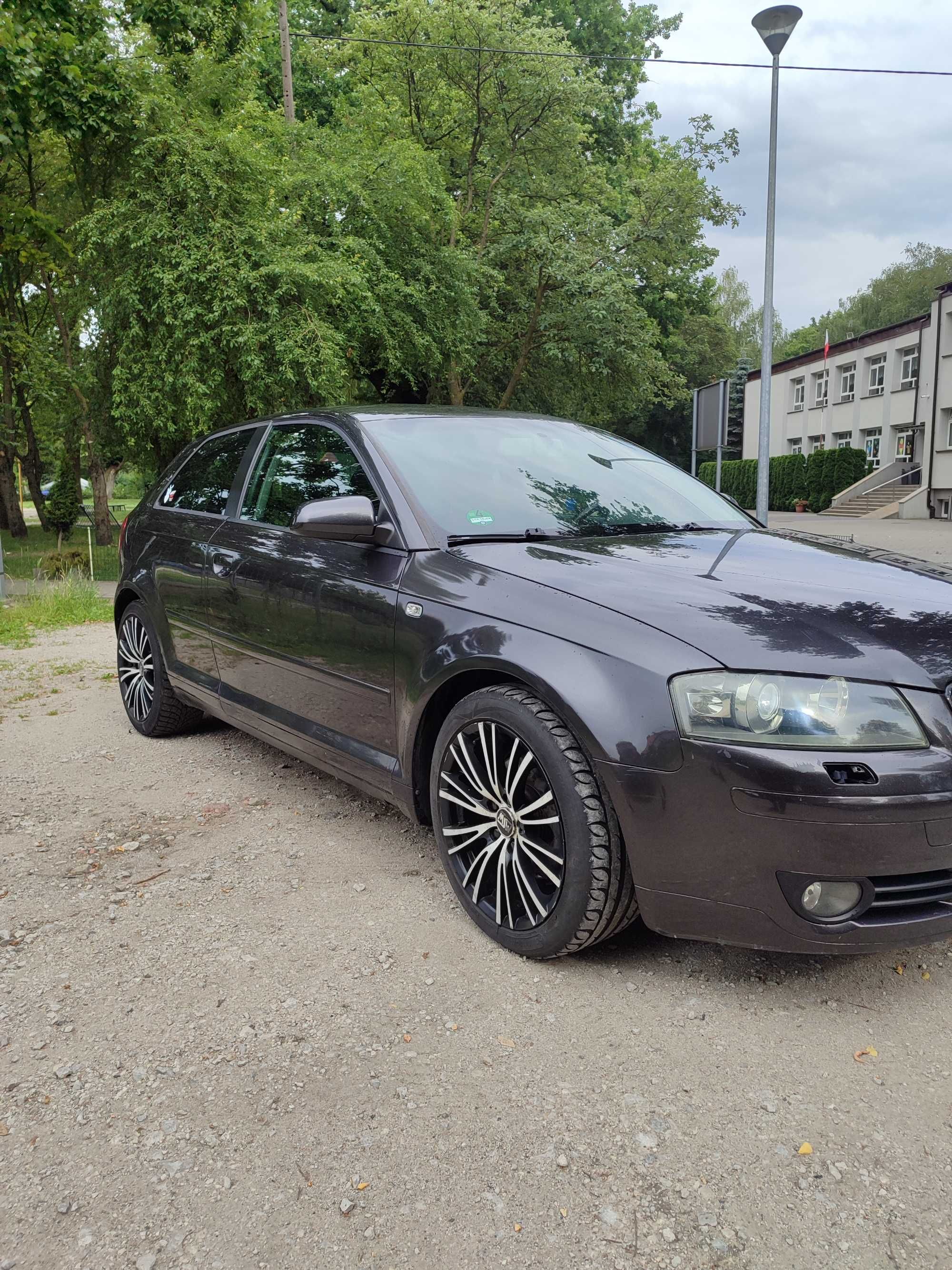 Audi A3 8p 2.0 TDi 2004