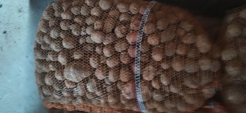 Ziemniaki paszowe odpadowe 30gr za kilogram