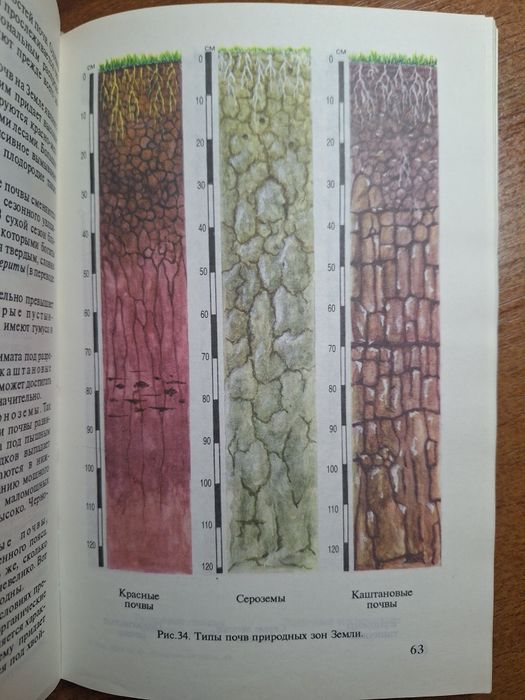 География мира 7 класс