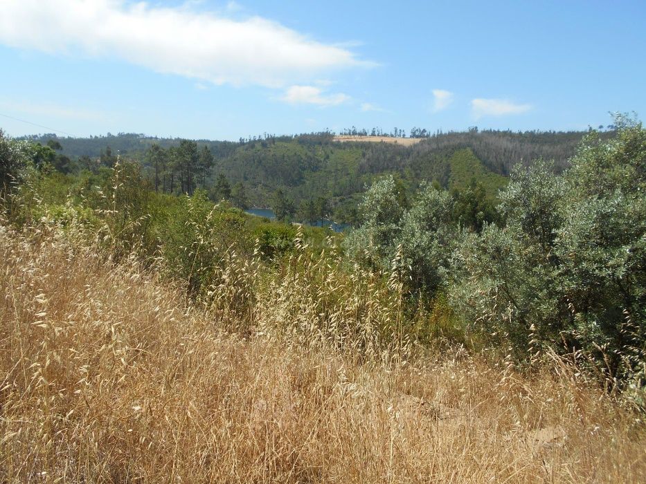 Castelo de Bode - Vale Martinho - terreno