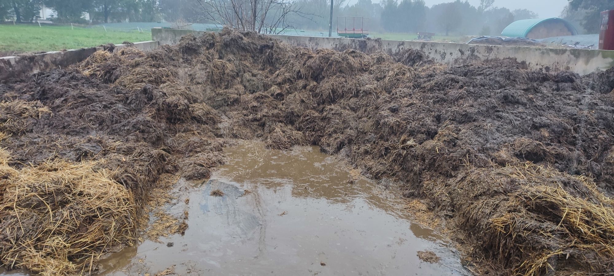 Obornik bydlęcy krowi dostawy tresciwy