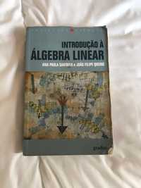 Introdução a Álgebra Linear