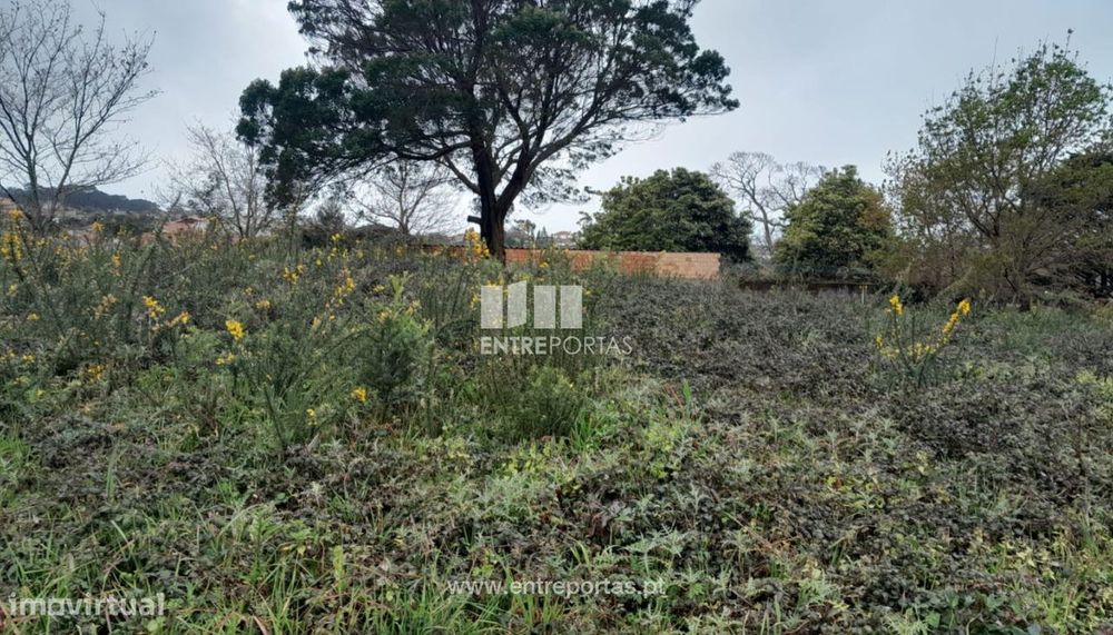 Venda de Lote para construção, Afife, Viana do Castelo