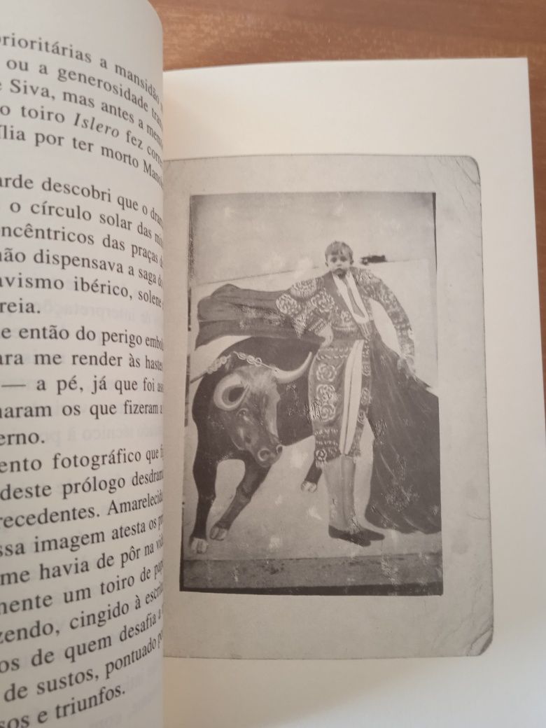 Esboços para Uma Tauromaquia