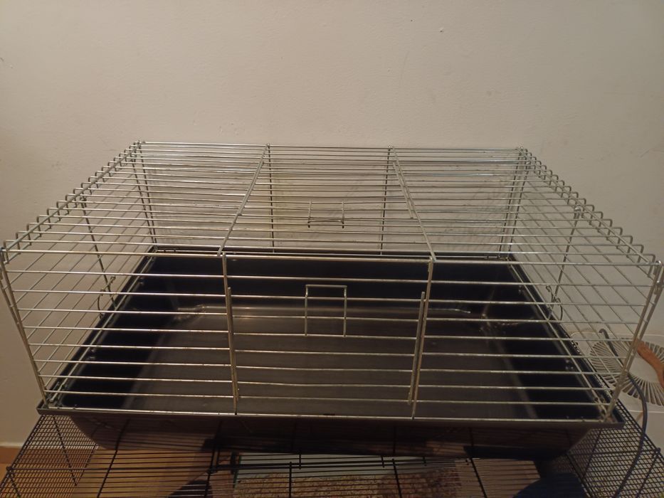 Klatka dla gryzonia
