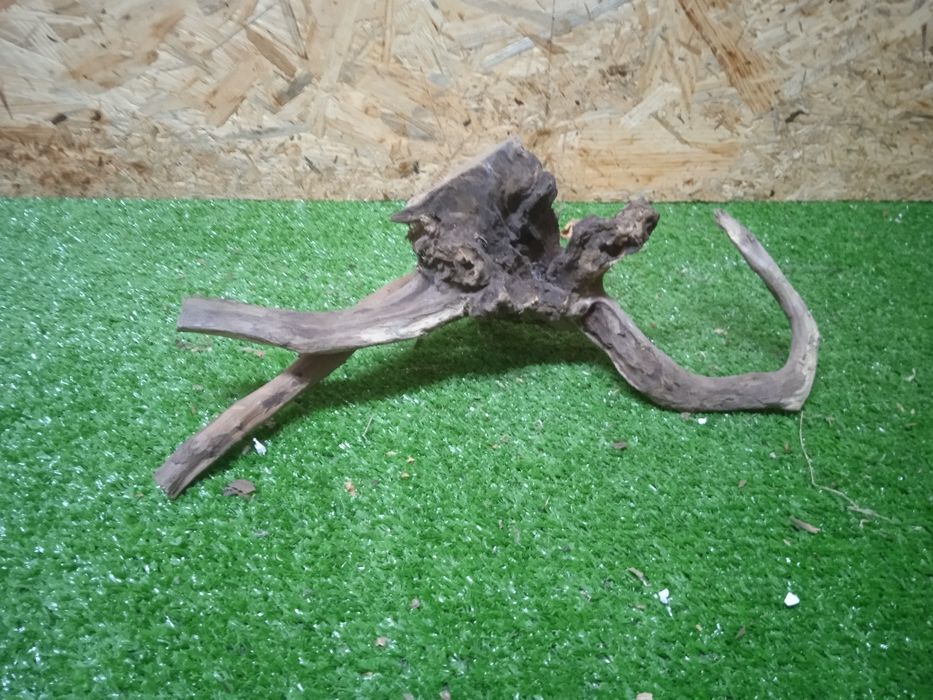 Korzeń do akwarium Red Moore Wood nr 464 o wymiarach 30/12/12