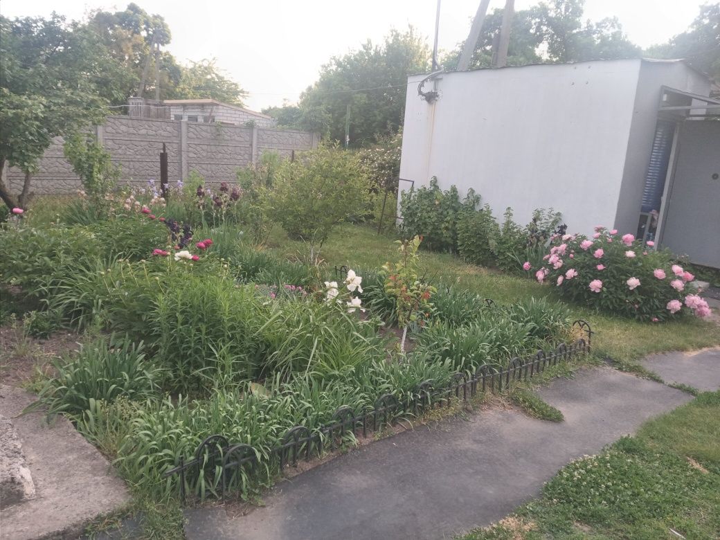 Продам дом дачу в лесу