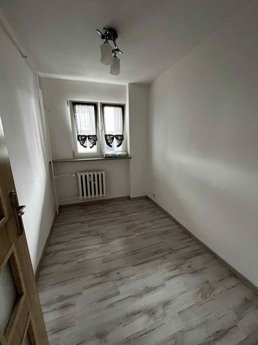 Mieszkanie na wynajem 50m2