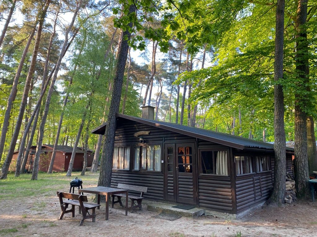 "Brzozówka" domek letniskowy Makowo k.Iławy jezioro Mazury, las