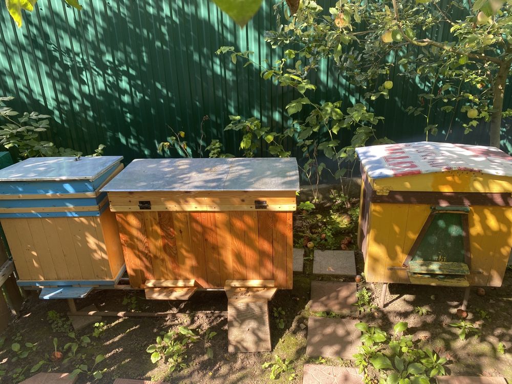 Продам різні вулики дадани, українці, бджоли, мед