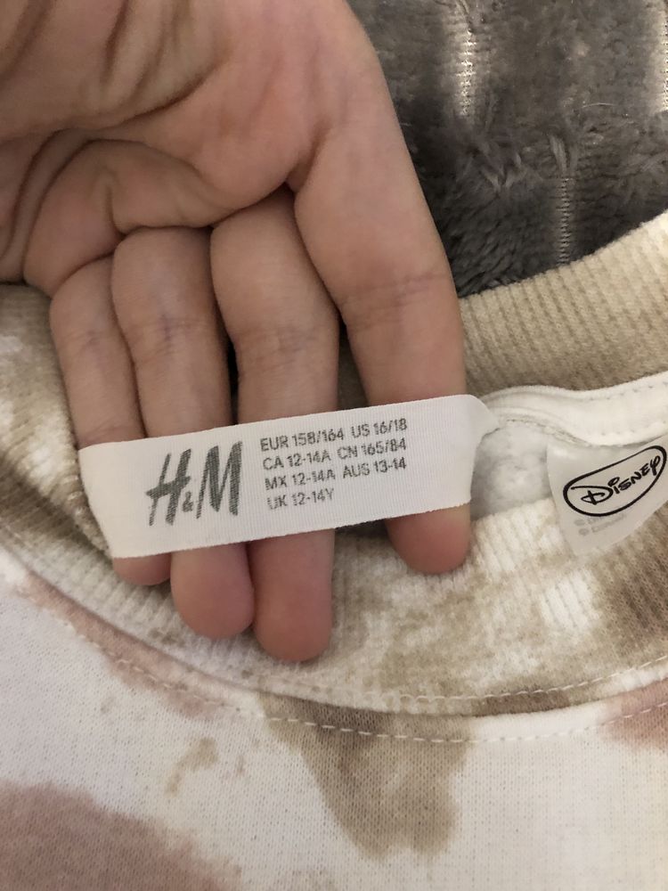 Світшот,H&M