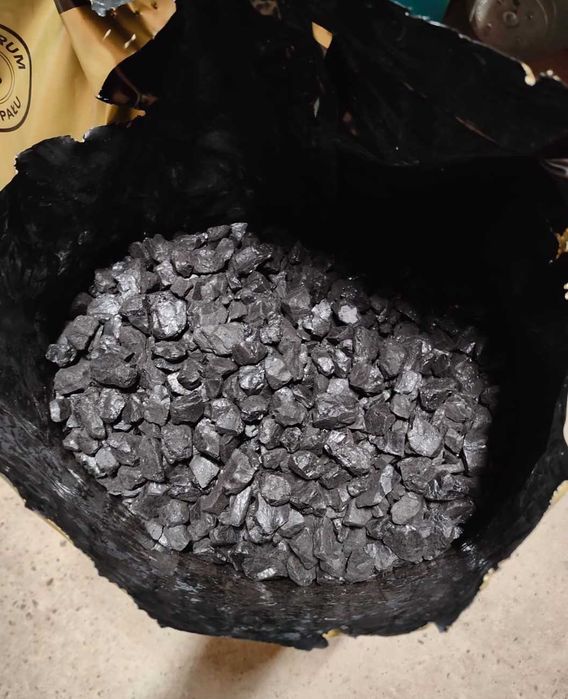 Groszek Ekogroszek EKOSUN 28 Premium super jakość bartex lew sobianek