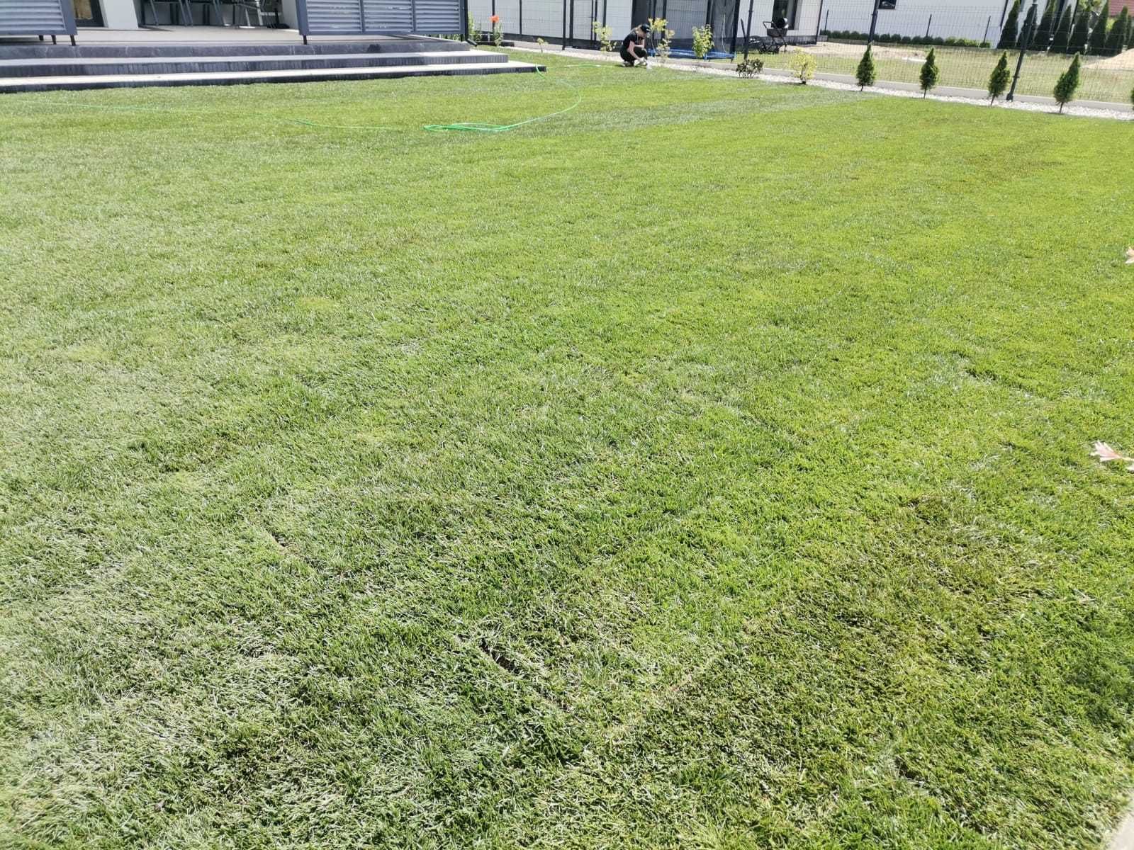 Trawnik trawa z rolki ogród sianie glebogryzarka mechaniczny siew traw