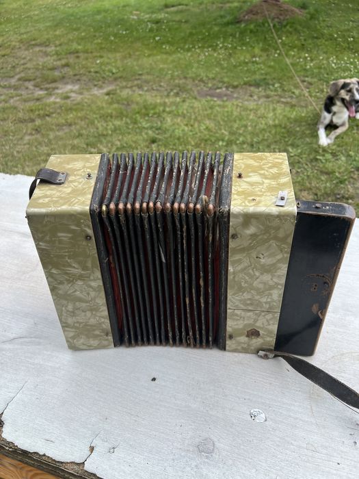 Stary akordeon guzikowy – dla kolekcjonera / do renowacji