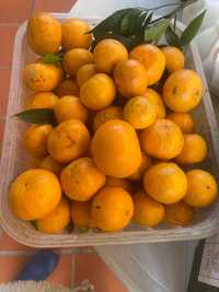 Tangerinas caseiras