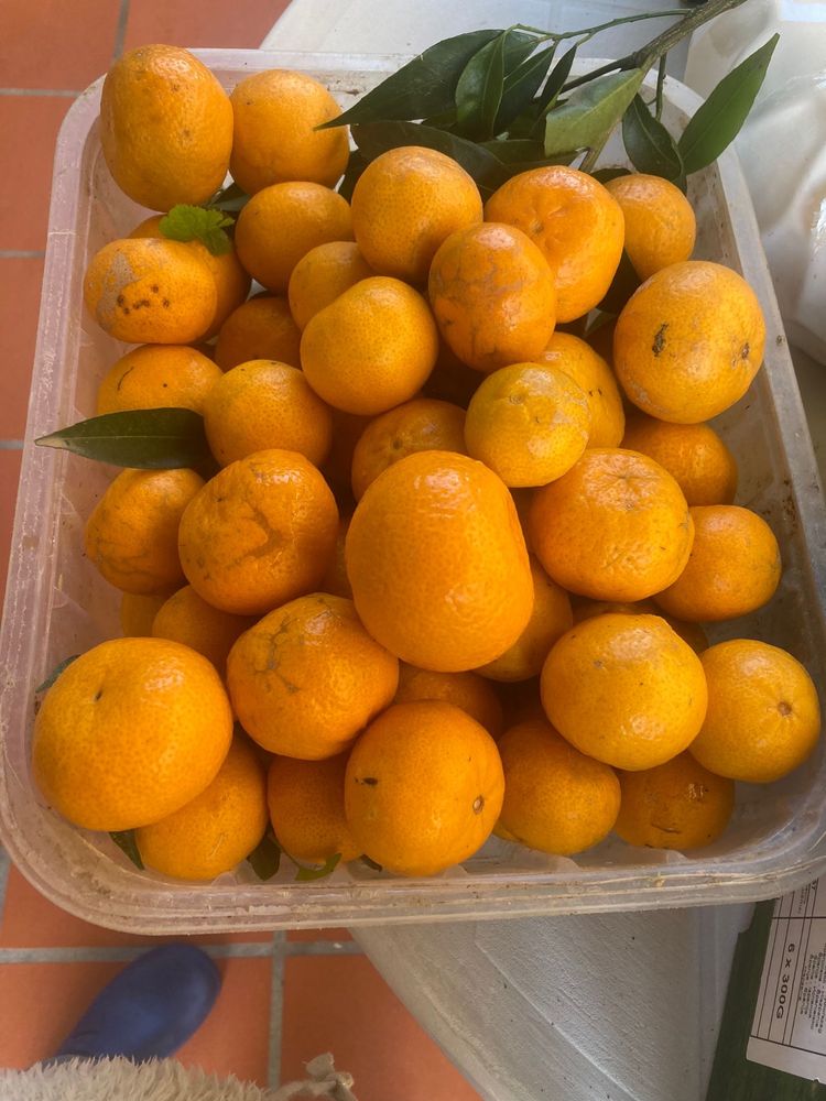 Tangerinas caseiras