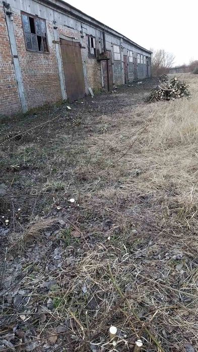 Здам в оренду складське приміщення