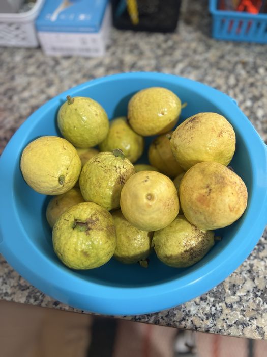 Goiaba vermelha ao kg