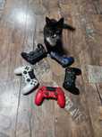 Pad Sony DualShock 4 V2 oryginalny Playsyation 4 Sixaxis Ps4 Slim Pro