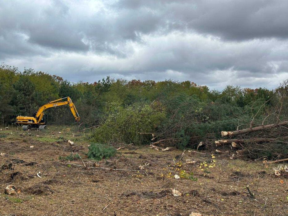 Розліснення ділянок під с/г діяльність або під будівництво