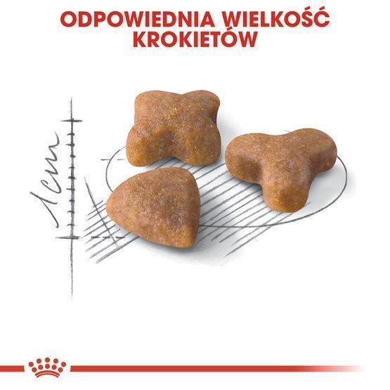 Karma Sucha Dla Kotów Dorosłych,o Wrażliwym Przewodzie Pokarmowym 400G