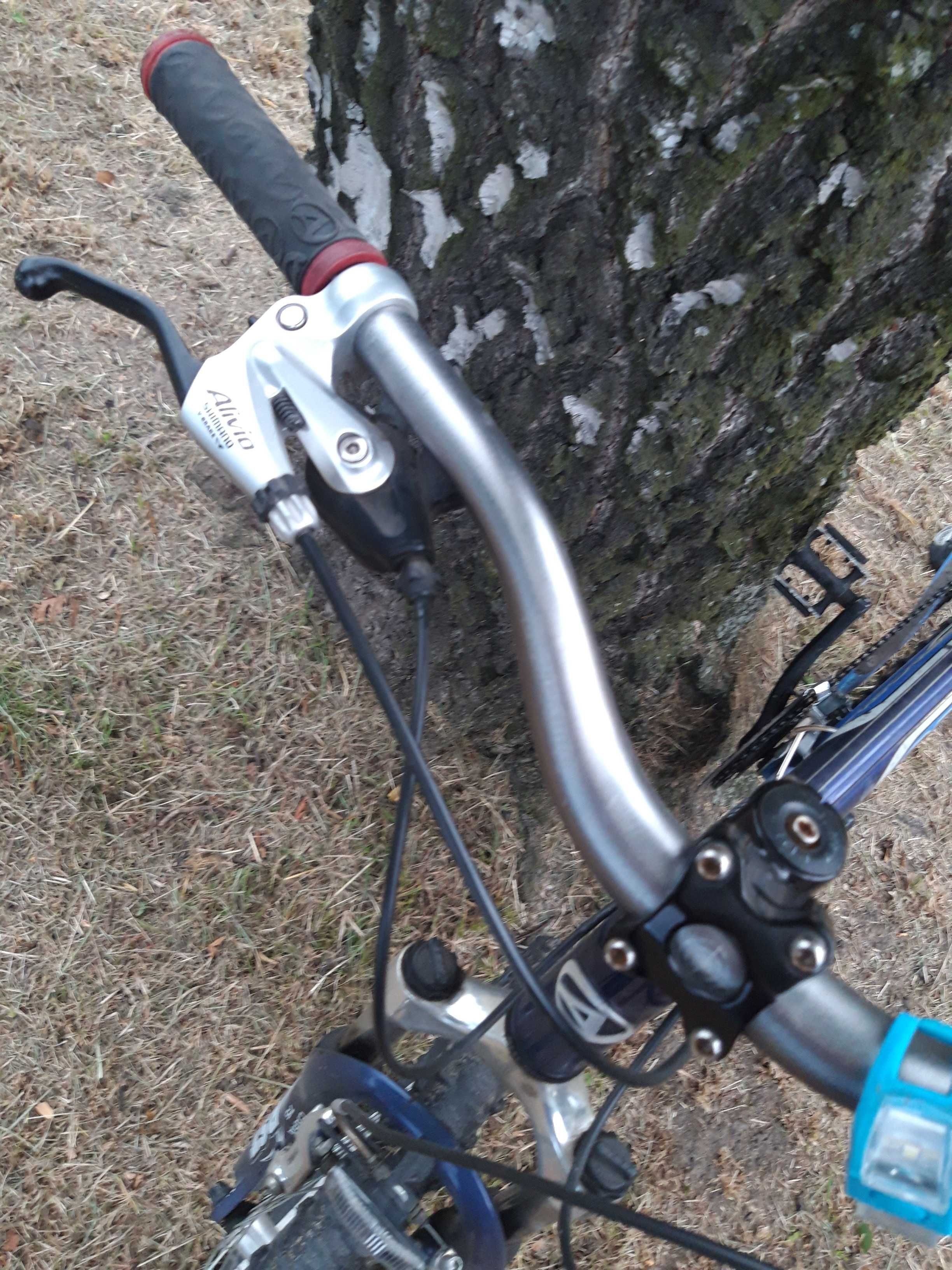 Rower Author basic 26"