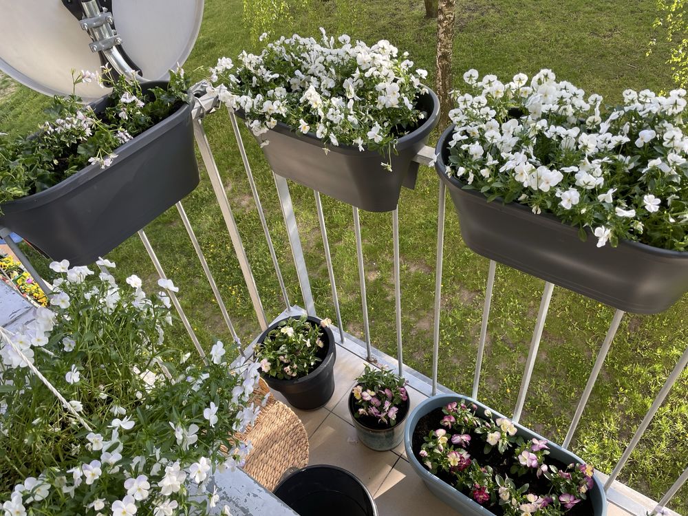 Donice na balustrade balkon Elho Corsica Flower Bridge 60x30 h27